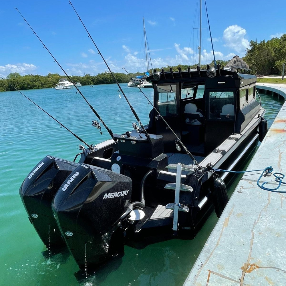 Visboot 18ft Aluminium met Mot - Fishing Boat Trailer recensie en prijs