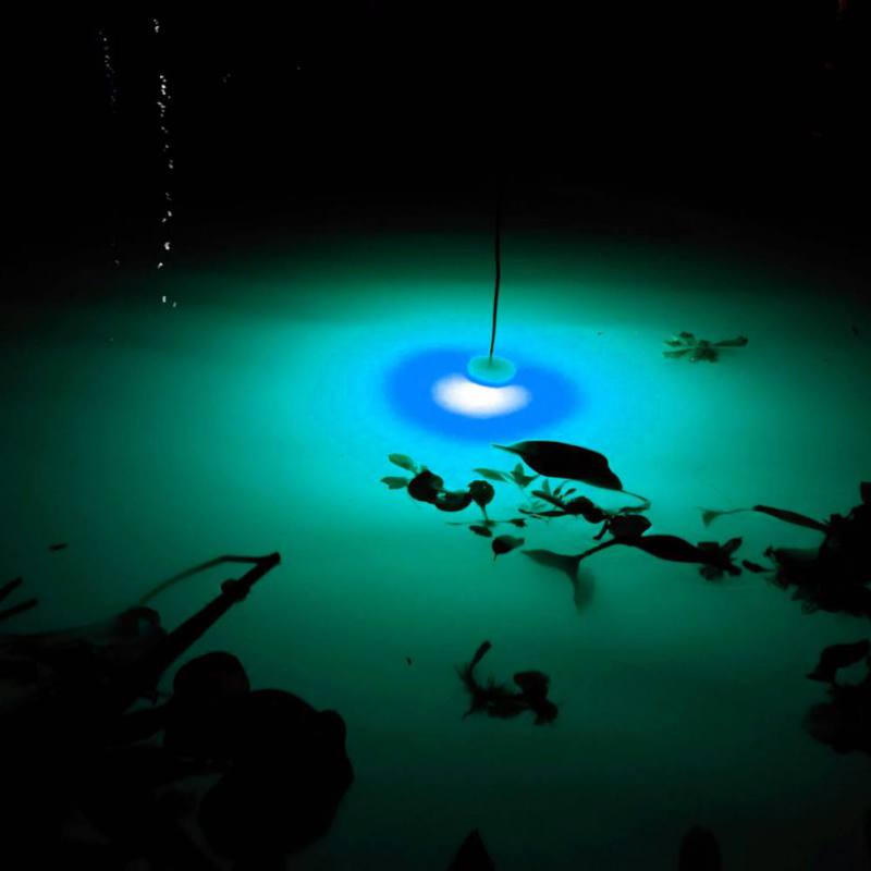Mini Vissen Attractie Lamp Glo - Fishing Boat Navigation Light recensie en prijs