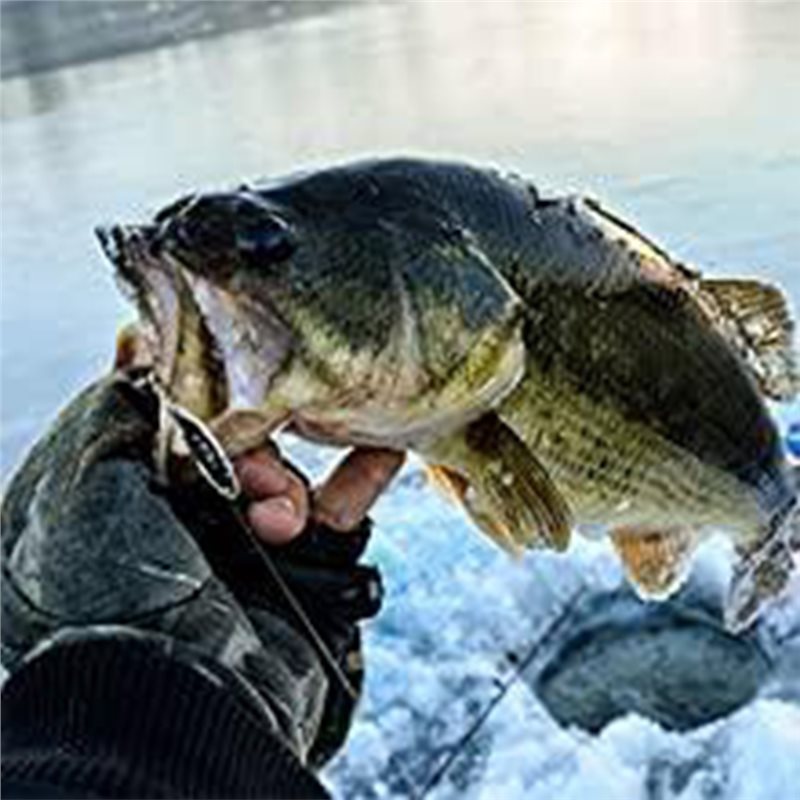 ABUE-Kayak Draagbare Visdiepte - Fishing Boat Depth Finder recensie en prijs